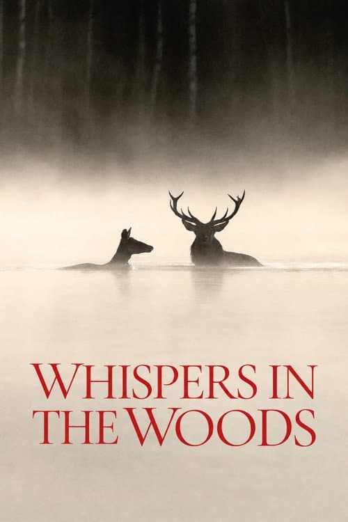 Whispers in the Woods poster