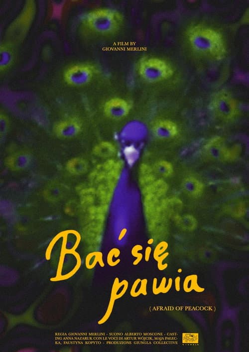 Afraid of Peacock poster