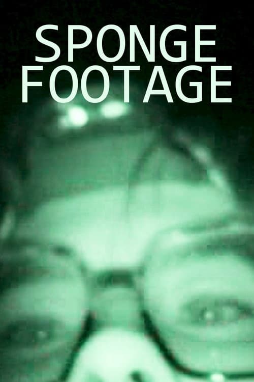 Sponge Footage poster