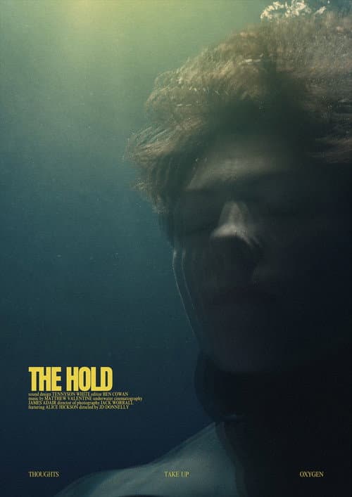 The Hold poster