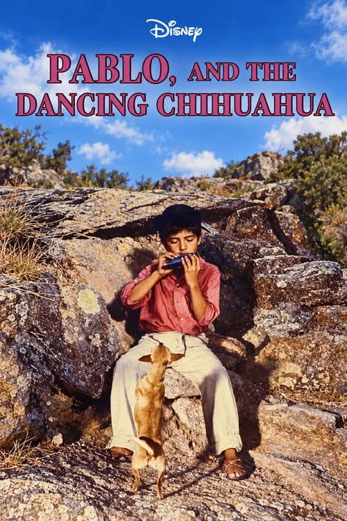 Pablo and the Dancing Chihuahua poster