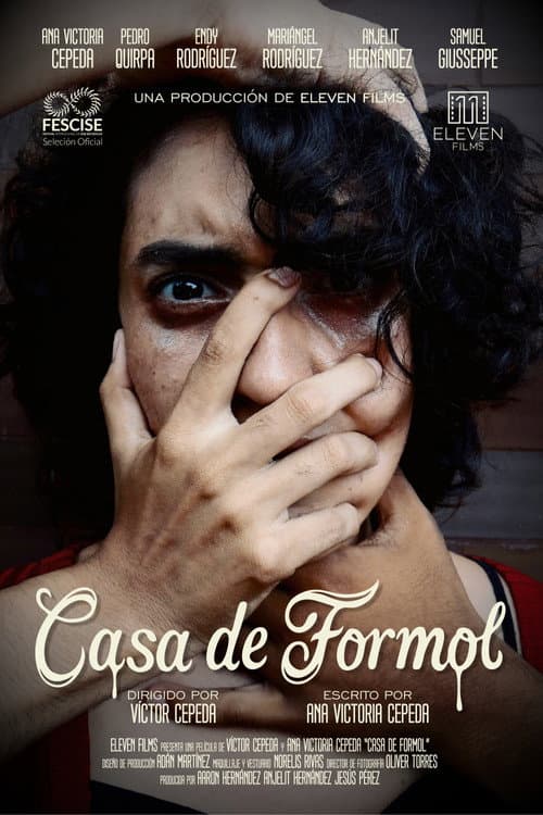 Casa de Formol poster