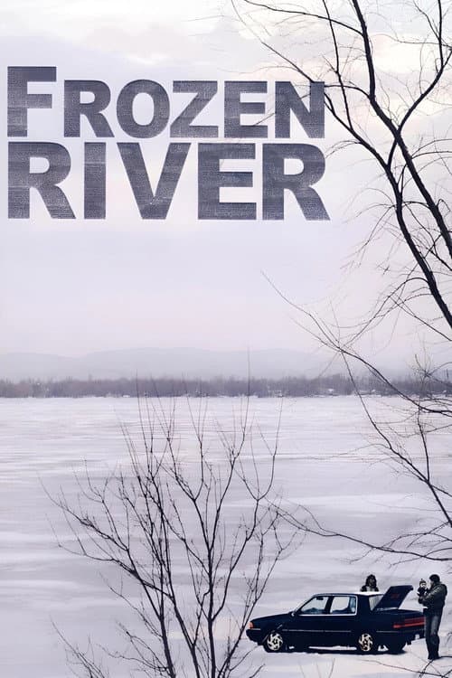 Frozen River poster