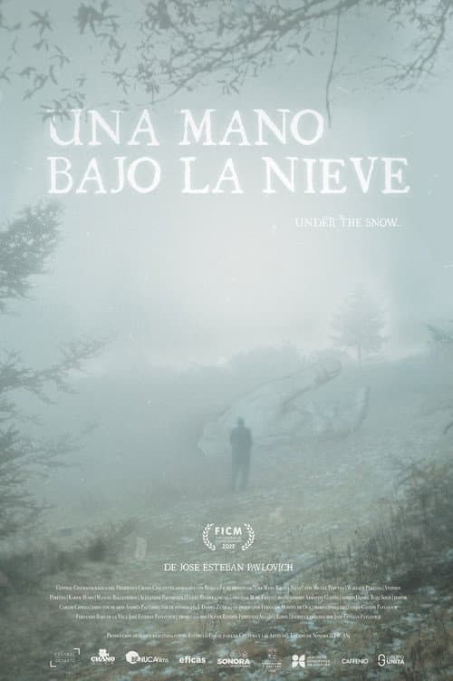 A Hand Beneath the Snow poster