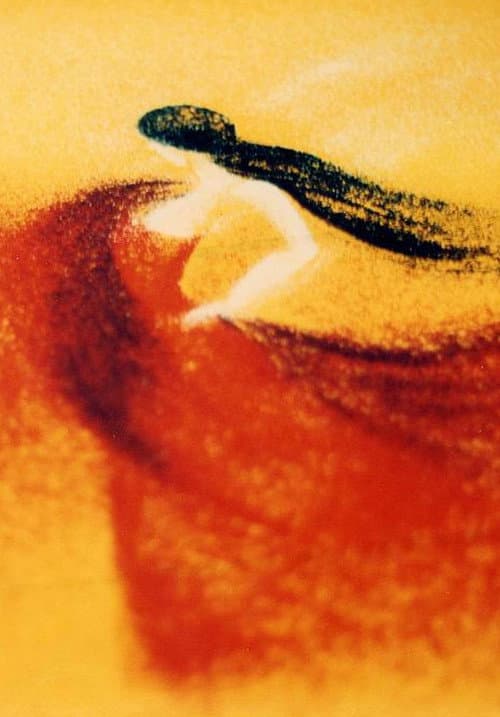 Carmen Suite poster