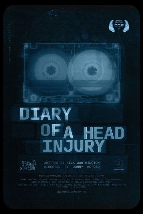 Diary of a Head Injury poster