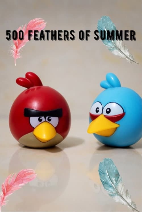 500 Feathers of Summer poster