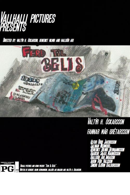 A trip to belize poster