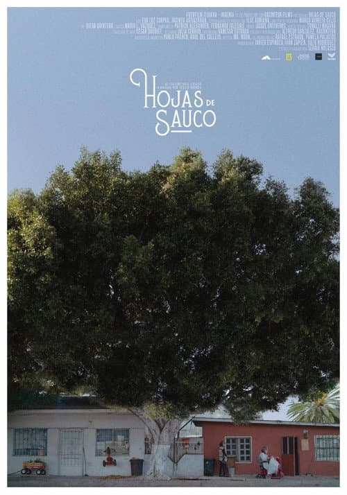 Hojas de Sauco poster
