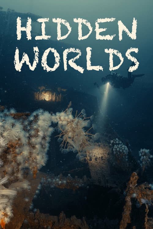 Hidden Worlds poster