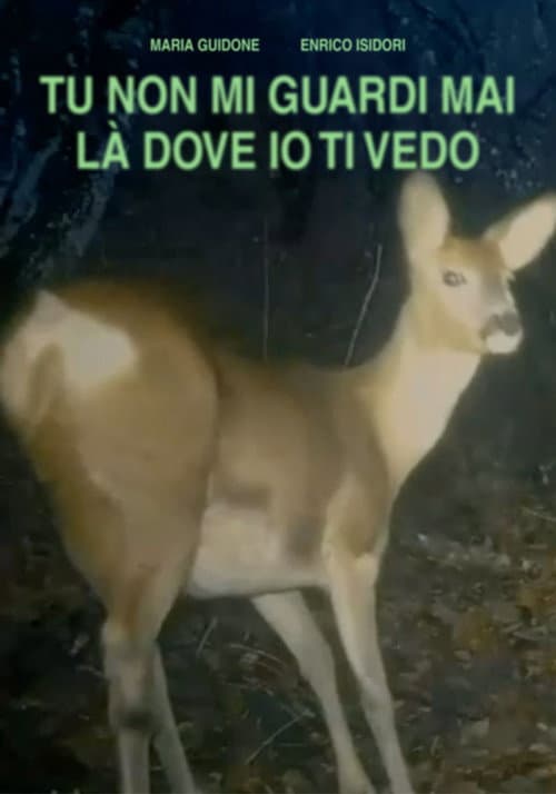 TU NON GUARDI MAI LÀ DOVE IO TI VEDO poster