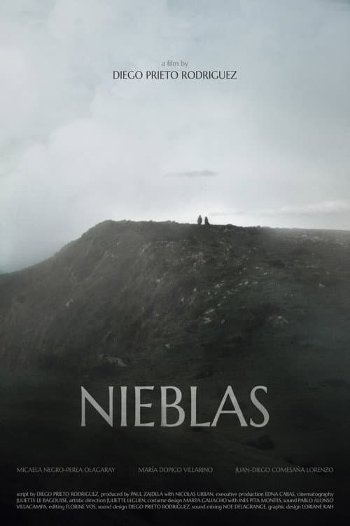 Nieblas poster