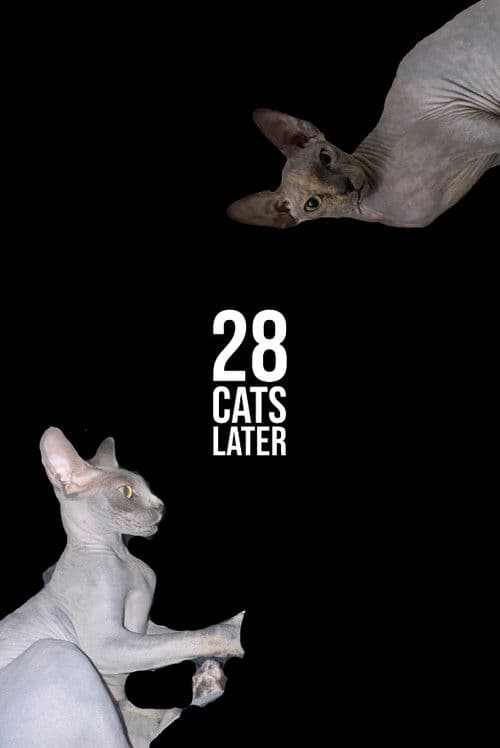 28 Cats Later poster
