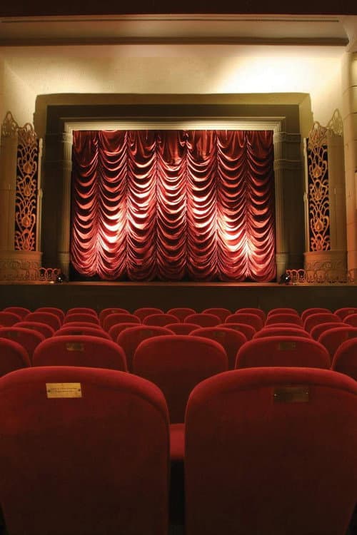 The Dream Palace: A People's History of Tyneside Cinema poster