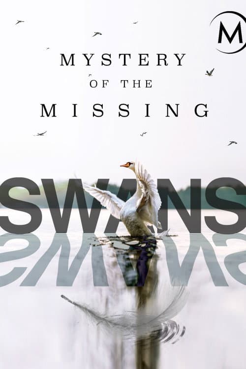 Swans: Mystery of the Missing poster