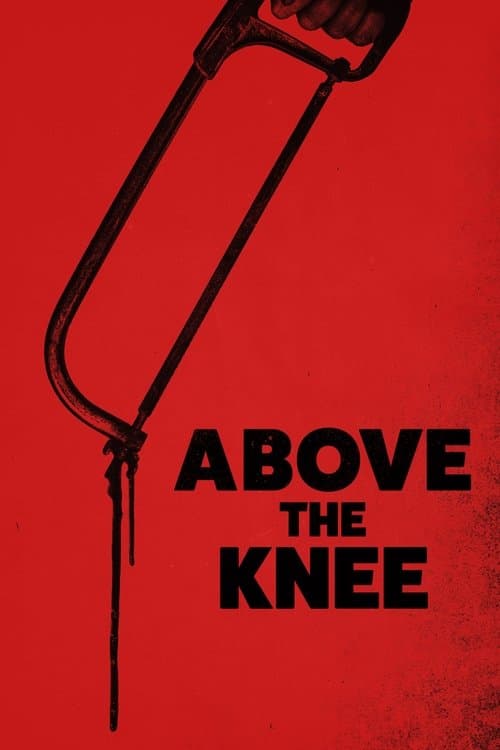 Above the Knee poster