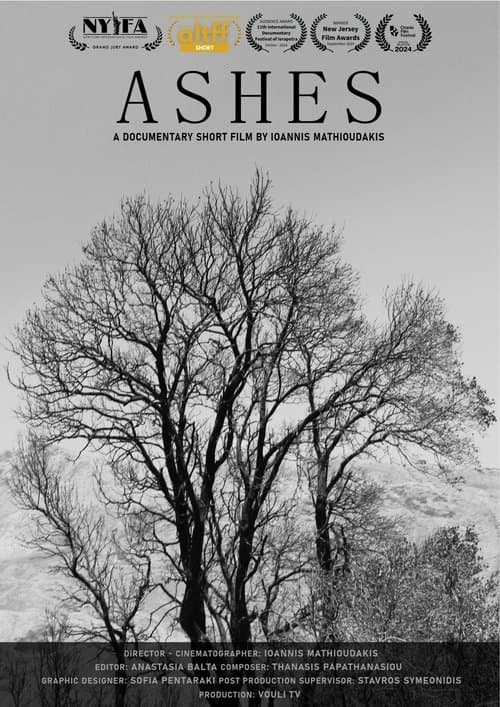 Ashes poster