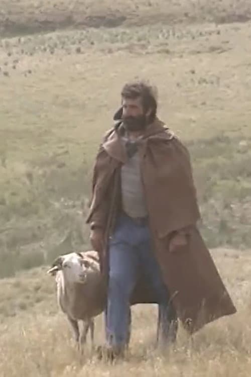 Shepherd and beyond poster