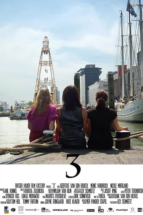 3 poster