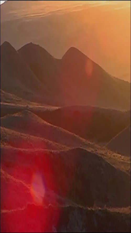 Caribou poster