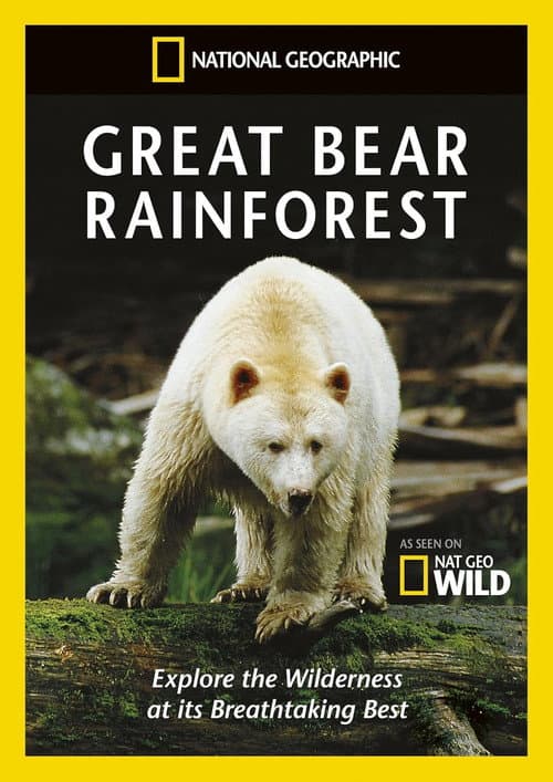 National Geographic: Great Bear Rainforest poster