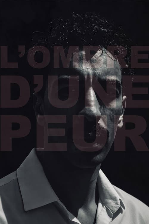 L'ombre d'une peur poster
