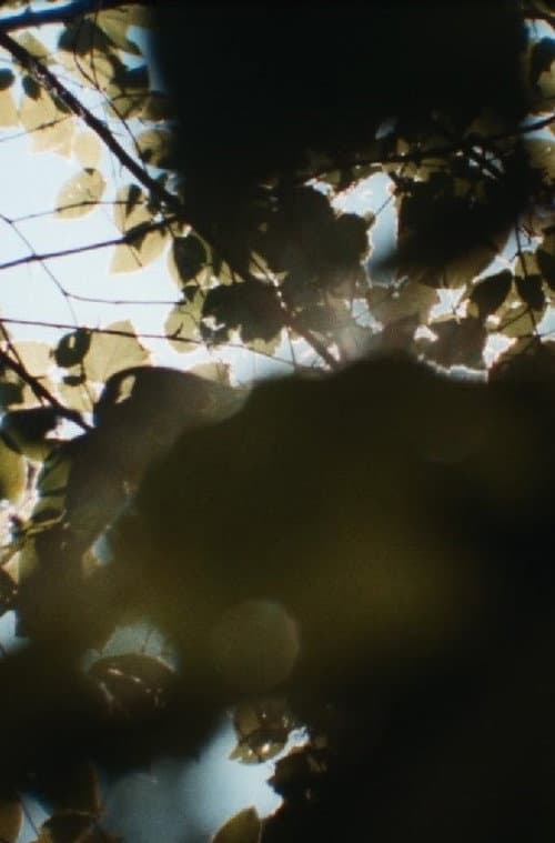 sunspots, burnt into my heart poster
