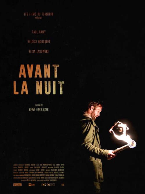 Before Night Falls poster