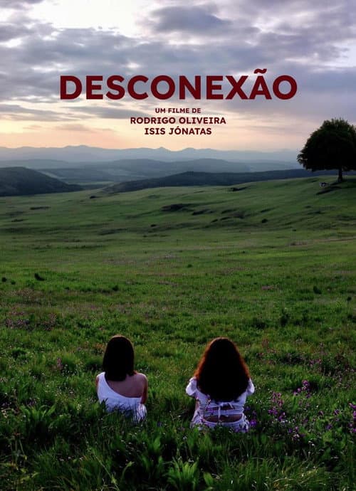 Disconnection poster