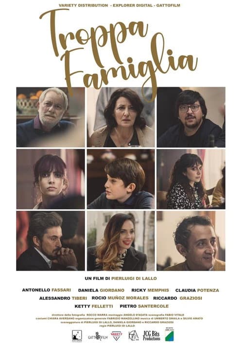 Troppa Famiglia poster