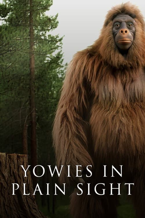 Yowies in Plain Sight poster