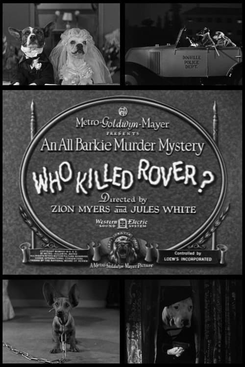 Who Killed Rover? poster