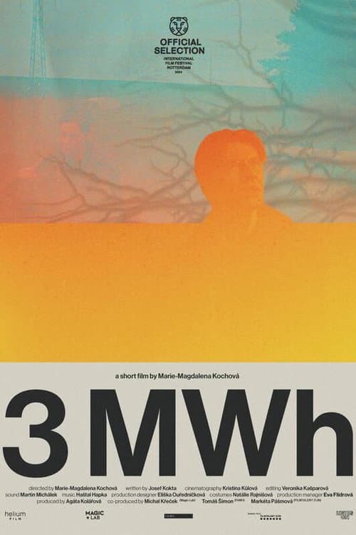3 MWh poster