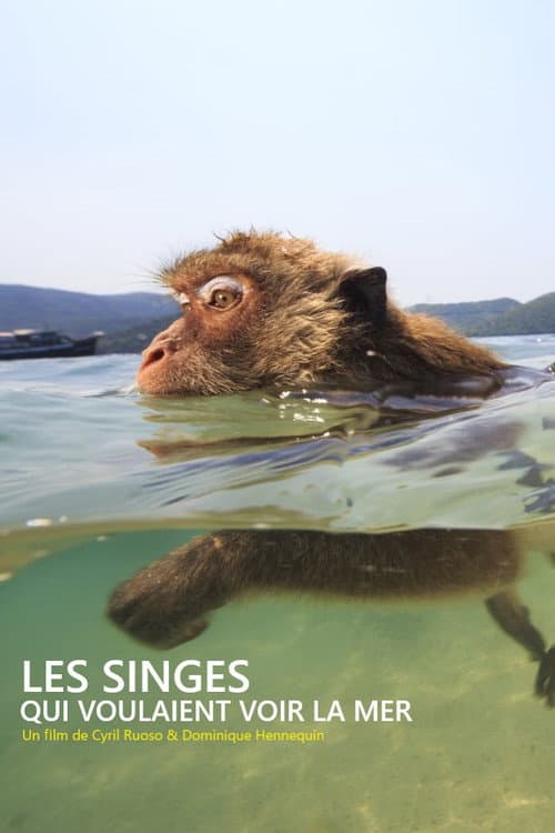 Les singes qui voulaient voir la mer poster