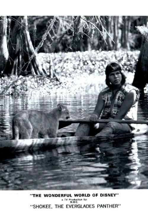 Shokee, the Everglades Panther poster