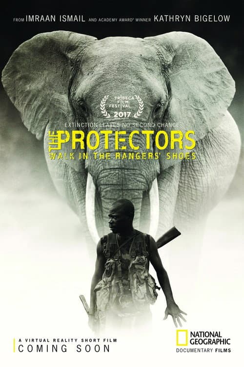 The Protectors poster