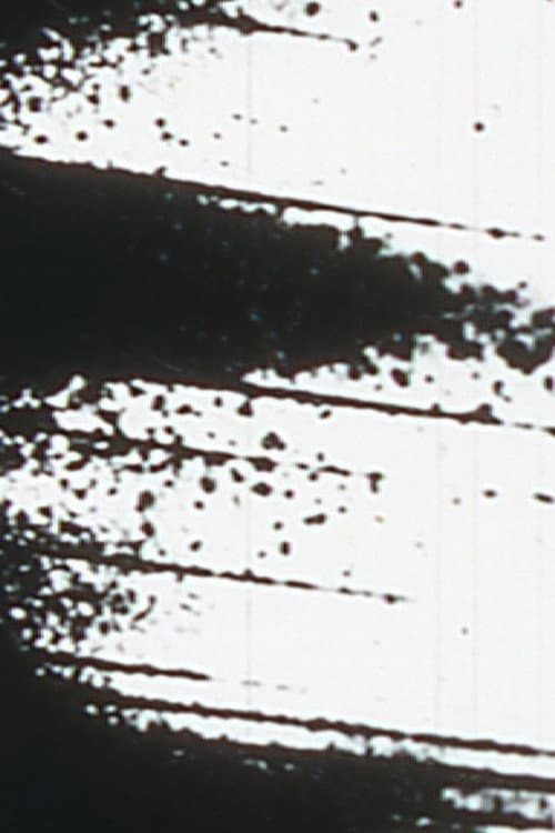Starlings poster