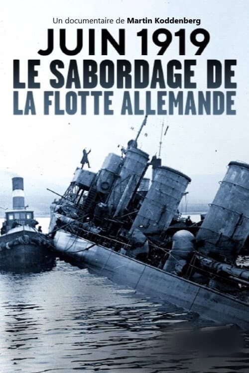 Dreadnought Destruction: Sinking the German High Seas Fleet poster