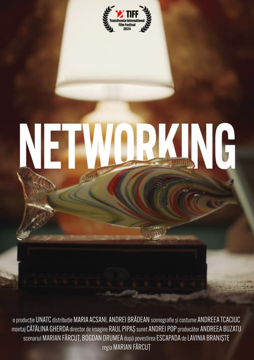 Networking poster