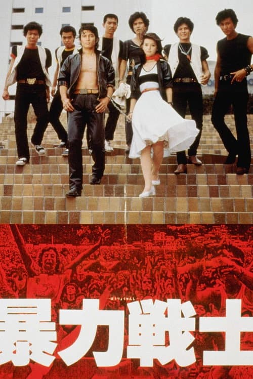 Violent Fighters poster