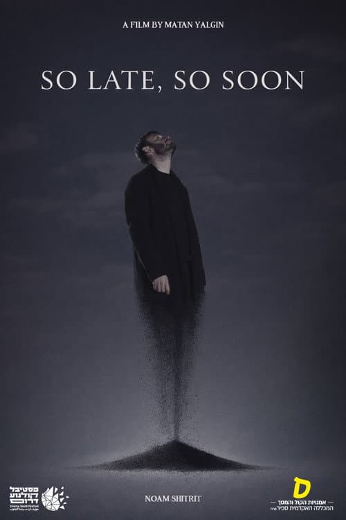 SO LATE, SO SOON poster