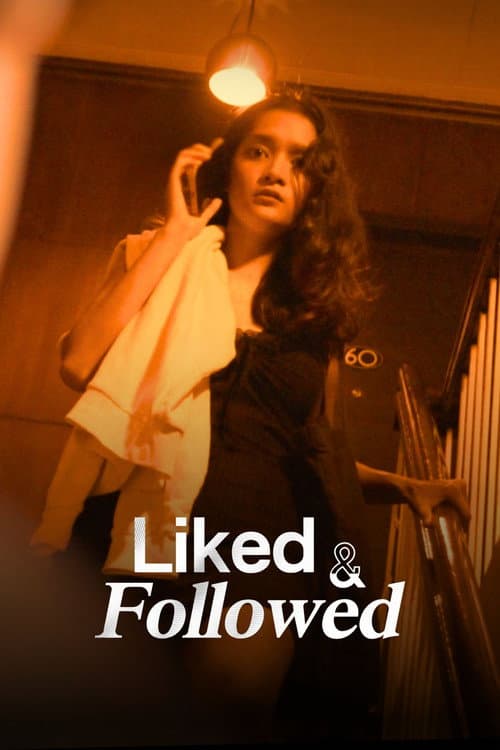 Liked & Followed poster