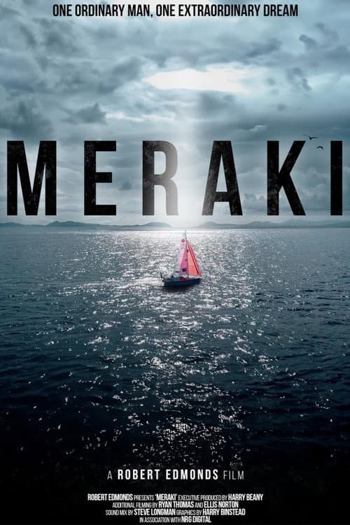 MERAKI poster