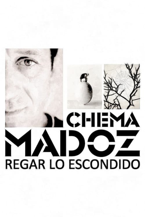 Chema Madoz: regar lo escondido poster