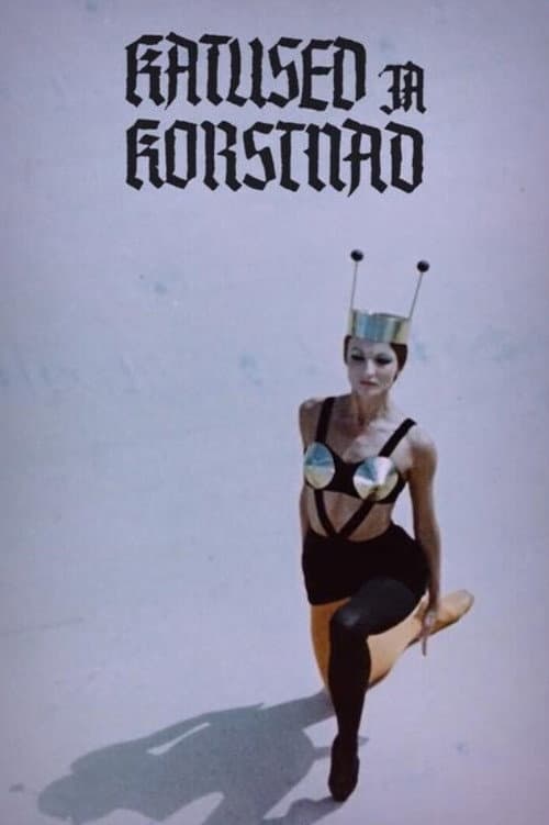 Katused ja korstnad poster