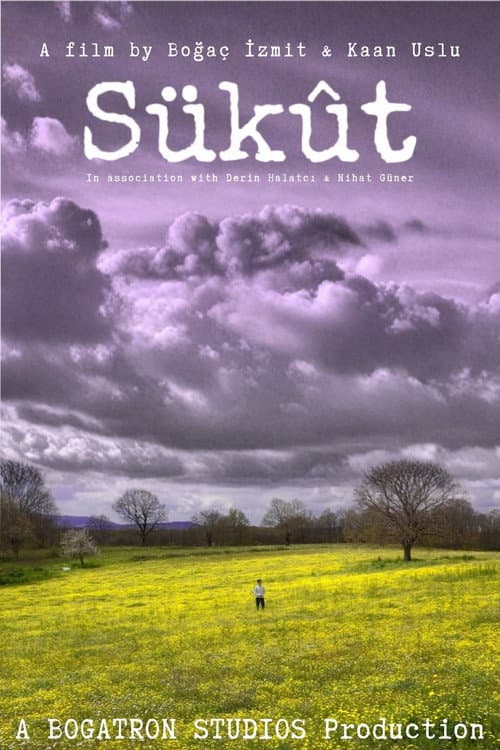 Sükût poster