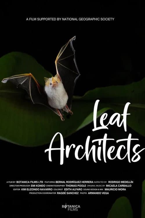 Leaf Architects poster