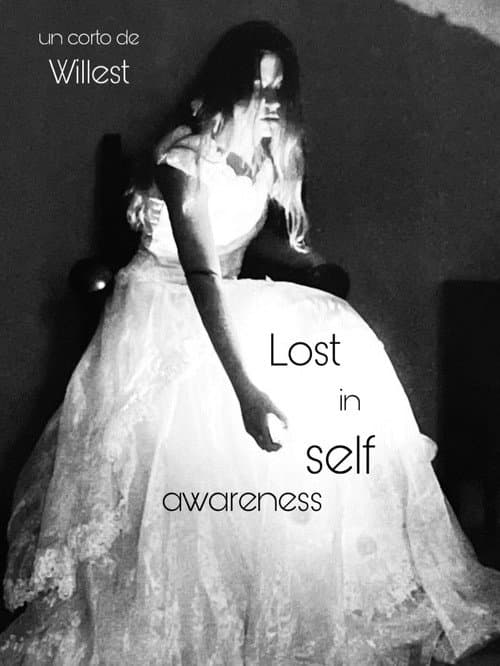 Lost in self awareness poster