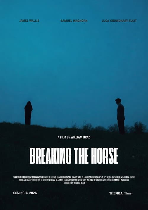 Breaking the Horse poster