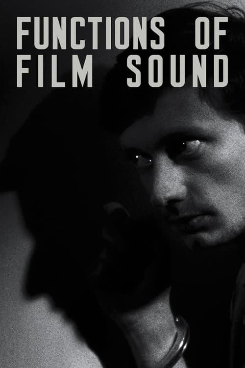 Functions of Film Sound poster